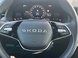 Škoda Scala (2025) Selection 1.0TSi 85kW 6°manuál - náhled 24