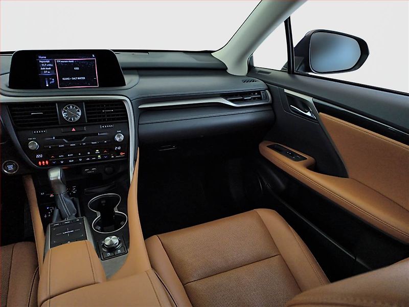 Lexus RX 400h (2022) 300 AWD - fotka 8 z 23