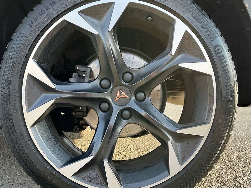Cupra Formentor (2024) 2.0 TSI 140 kW DSG 4Drive - fotka 10 z 20