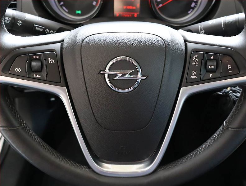 Opel Insignia (2009) 2.0 CDTI, Automat, Tempomat - fotka 18 z 18