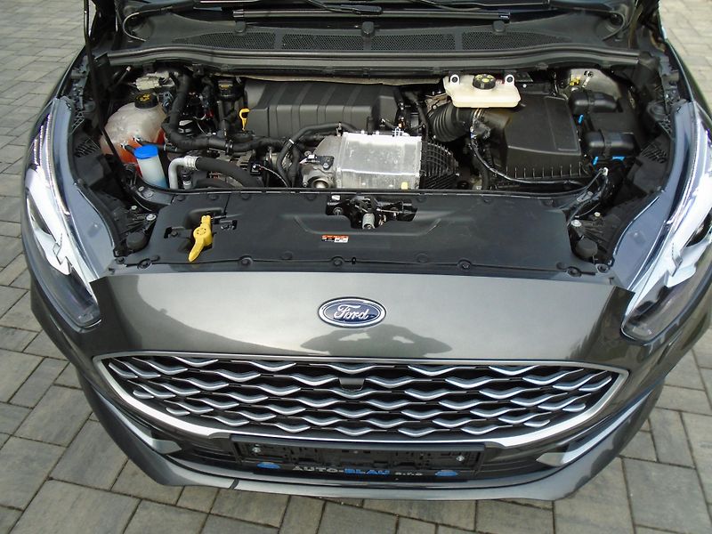 Ford Galaxy 2,0EcoBlue 140kW AWD Vignale  - fotka 40 z 50