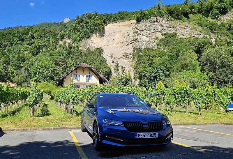 Cestou do Francie jsme se zastavili v hlavním městě Lichtenštejnska - Vaduz. Zde jsme pořídili snímek u místní vinice.