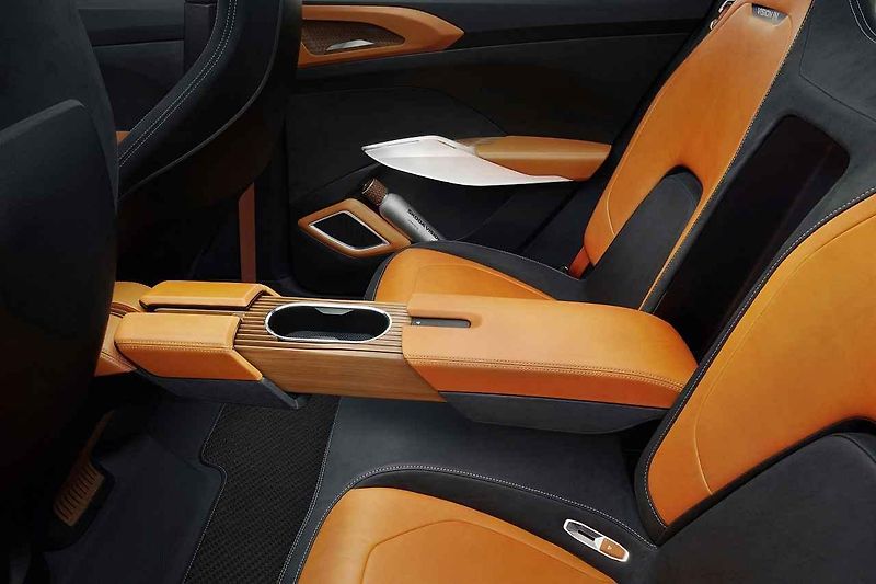 Škoda Vision IN