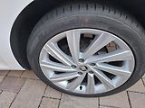 Škoda Octavia (2023) 2.0 TDI,CR,1 maj,nehav,ser. kn - náhled 13