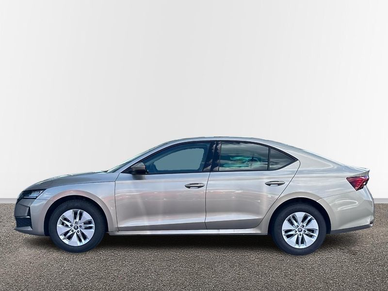 Škoda Octavia Selection - fotka 3 z 24