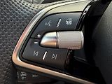 Škoda Kodiaq (2025) DSG 1.5 TSI / iV 150kW / SPORT - náhled 14