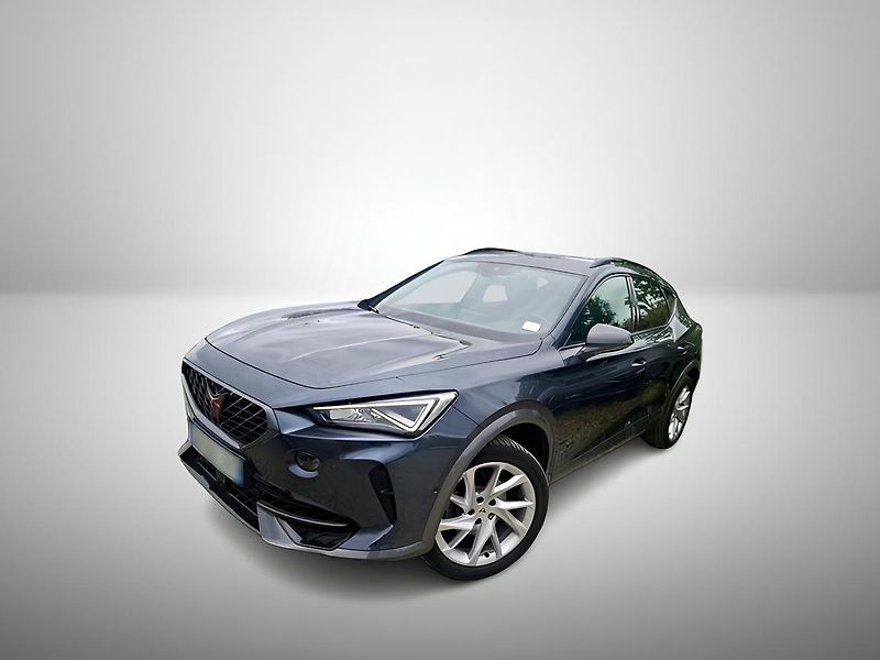 Cupra Formentor 1.5TSI DSG 110kW 1.Maj DPH  - fotografie inzerátu