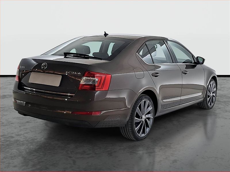 Škoda Octavia (2014) Elegance 1.4 TSI, Kůže - fotka 5 z 20