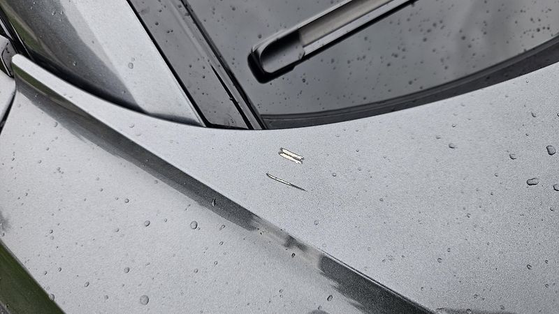 Audi S8 (2021) - fotka 16 z 24