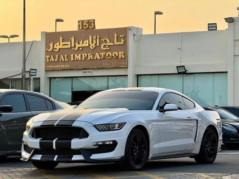 Ford Mustang (2017) Pro milovníky Ameriky - fotka 1 z 16