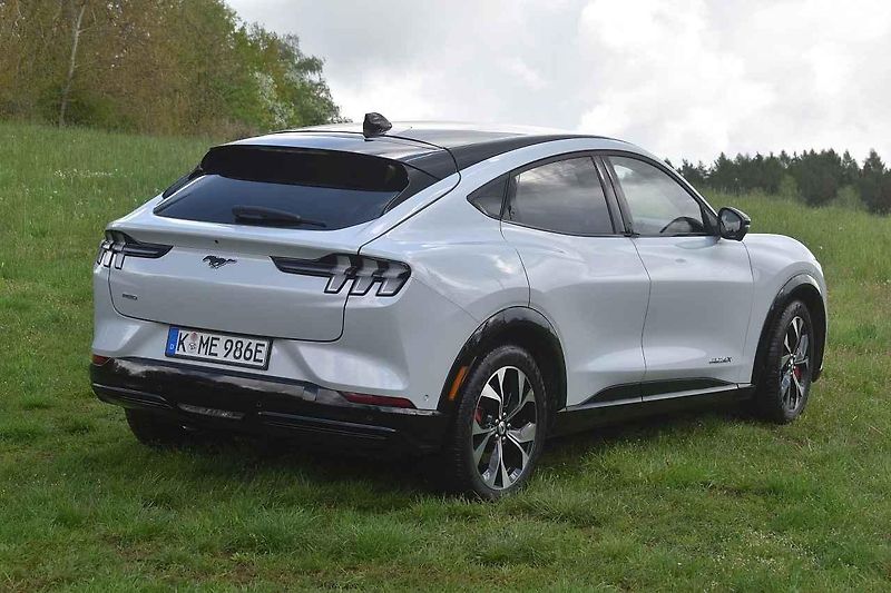 Mustang jsme ukázali i koním chovaným na farmě