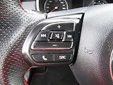 MG ZS (2022) 1.5 DVVT, ČR, AC, TZ, park - náhled 12
