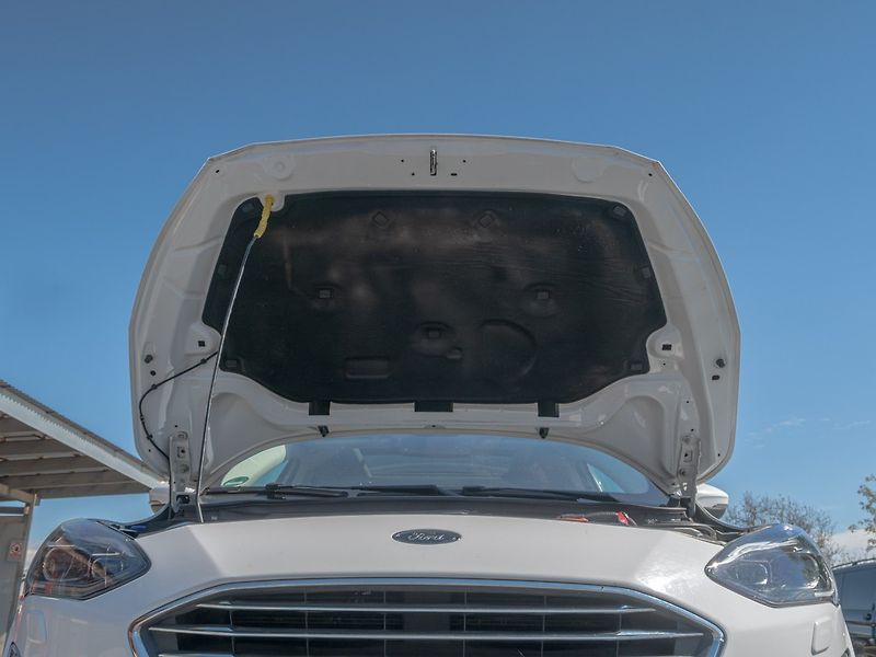 Ford Focus (2019) ČR 2.0TDCI 110KW – VÝBAVA! - fotka 50 z 55