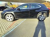 Lexus UX 250h kožené a vyhřívané sedačky - náhled 3