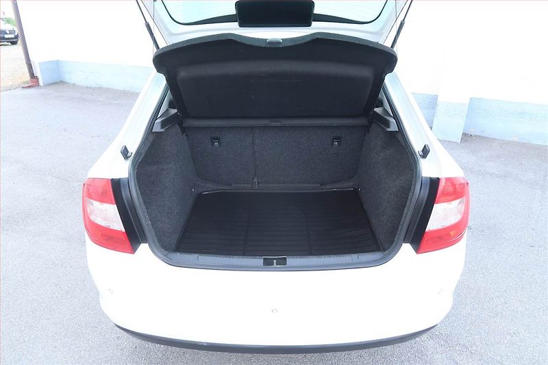 Škoda Rapid (2014) 1.2 TSI, Tempomat - fotka 13 z 20