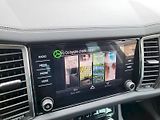 Škoda Kodiaq (2023) STY 4X4 TD 110/2.0 A7A - náhled 19
