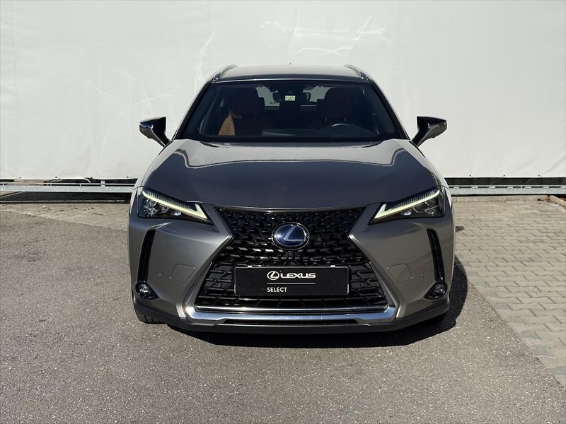 Lexus UX 250h 2,0 Luxury, 4x4  UX - fotka 2 z 25