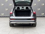 Audi e-tron (2020) Quattro 230kW Advanced, PANO - náhled 9