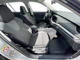 Škoda Octavia 2,0 TDI Combi Ambition Plus - náhled 17
