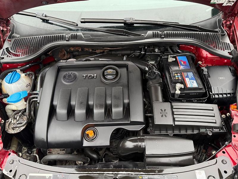 Škoda Octavia (2009) - fotka 29 z 30