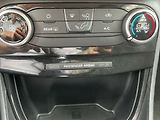 Ford Puma 1.0i,92KW,CZ,DPH,SERVISKA - náhled 11