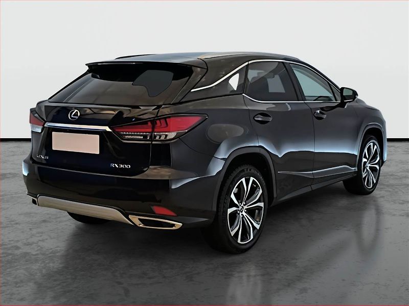 Lexus RX 400h (2022) 300 AWD - fotka 5 z 23