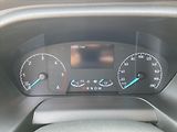 Ford Tourneo Custom 2,0 EcoBlue 125kW 8 Míst L2 - náhled 11
