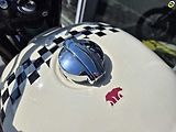 Royal Enfield Interceptor 650 (2026) Interceptor BEAR 650 - náhled 21