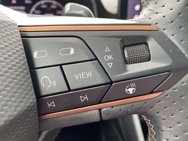 Cupra Formentor (2024) 1.5 TSI DSG - fotka 19 z 37