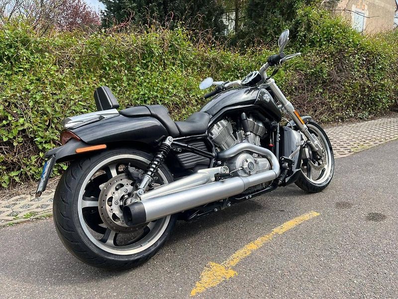 Harley-Davidson VRSCF V-Rod Muscle (2015) - fotka 2 z 13