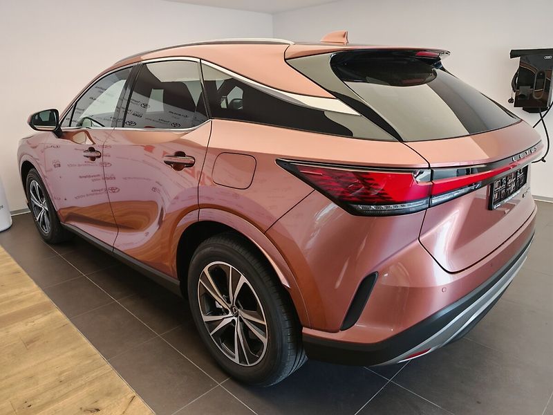 Lexus RX 450H+ Comfort Plus - fotka 8 z 45