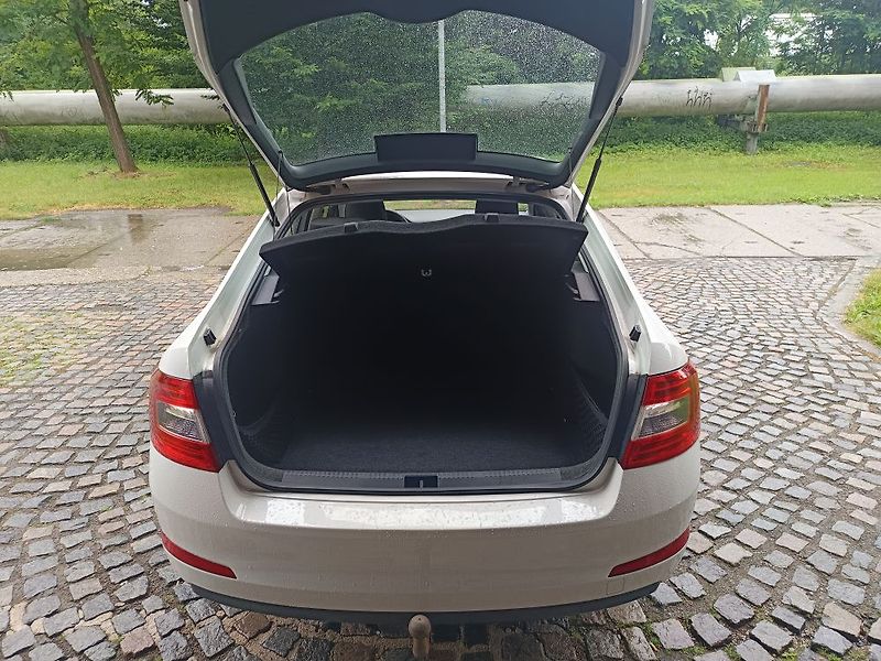 Škoda Octavia (2014) - fotka 25 z 55