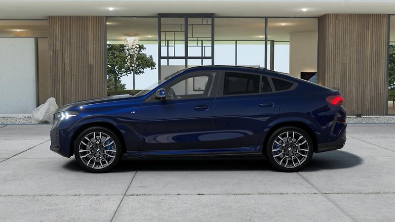 BMW X6 xDrive40i - fotka 5 z 14