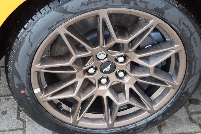 Ford Mustang (2026) Fastback 5.0 Bronze-Styling - fotka 8 z 24