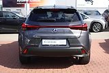 Lexus UX 250h 2,0HSD Special Edition - náhled 6
