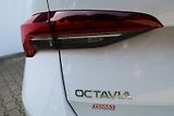 Škoda Octavia (2024) Combi TOP SELECTION 1,5 TSI M- - náhled 30