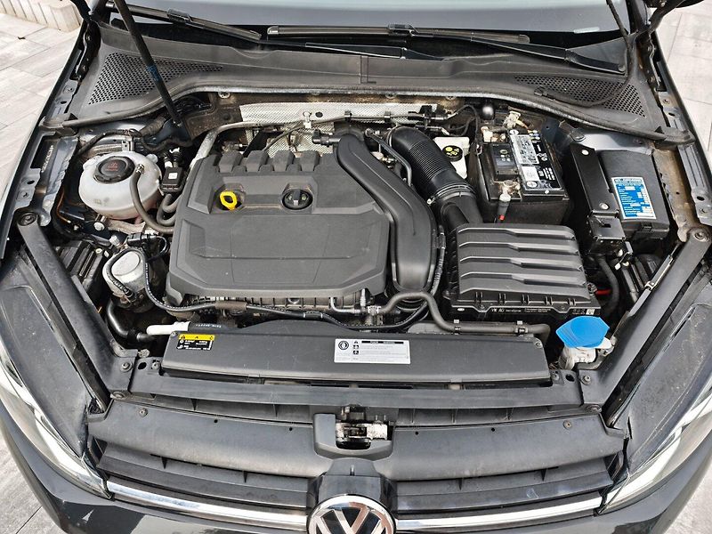 Volkswagen Golf (2019) 1,5 TSI 110 KW Highline - fotka 32 z 33
