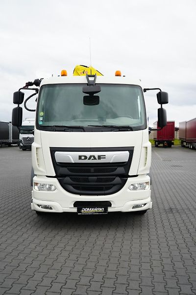 DAF LF (2014) 250 / SKRZYNIOWY + HDS / HYVA  - fotka 14 z 56