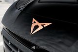Cupra Terramar (2025) VZ 2.0 TSI 265 4DRIVE - náhled 31