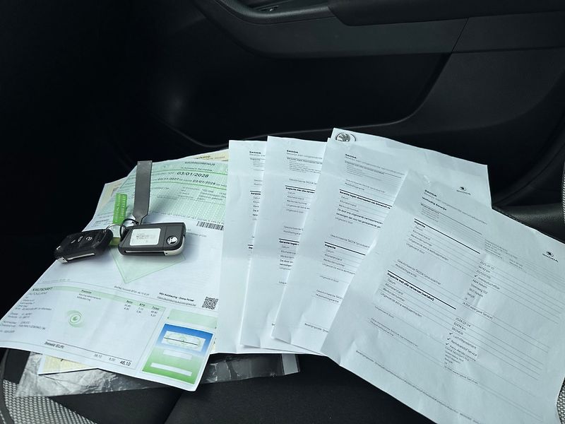 Škoda Fabia (2018) 1.0TSi SERVISKA, 100%KM - fotka 12 z 12