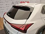 Lexus UX 300h Business TECH - náhled 8