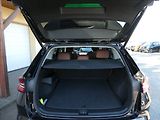 Škoda Kodiaq 2,0 TDI 142kW Excl. Selection - náhled 14