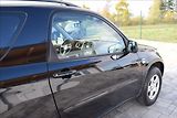Toyota RAV4 2,0 VVT-i 4WD 110KW BEZ KOROZE - náhled 11