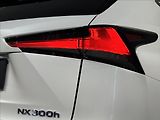 Lexus NX 300h 2,5   Hybrid Luxury LED Assist - náhled 10
