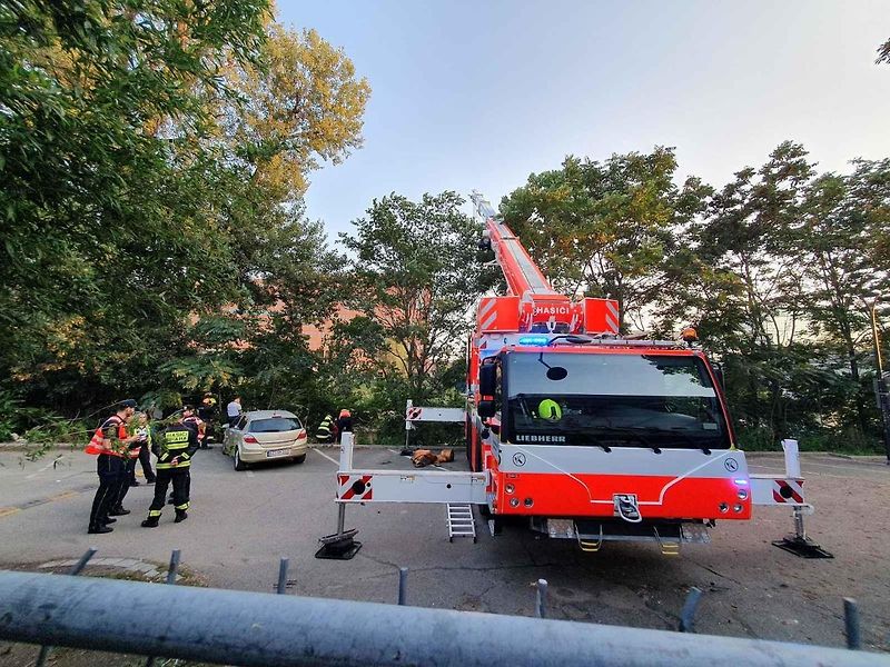 Hasiči vytahovali z Vltavy dodávku.