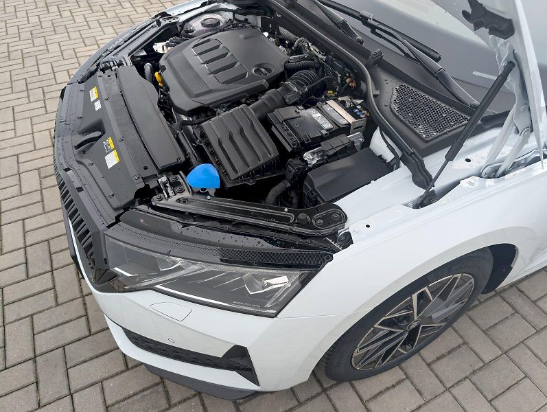 Škoda Octavia (2026) Combi 2,0 TDI / 110 kW DSG Spo - fotka 14 z 30