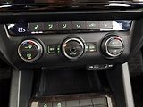 Škoda Octavia (2014) Elegance 1.4 TSI, Kůže - náhled 16