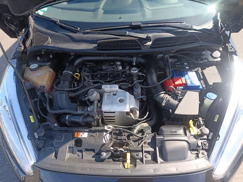Ford Fiesta (2014) - fotka 10 z 33
