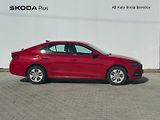 Škoda Octavia (2023) AMB TD 85/2.0 M6F - náhled 8