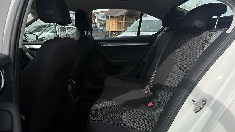 Škoda Octavia (2016) 1.6 TDI 81KW 172 TIS KM  - fotka 10 z 20